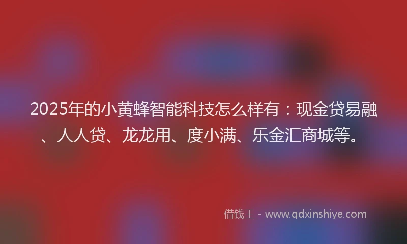 2025年的小黄蜂智能科技怎么样有：现金贷易融、人人贷、龙龙用、度小满、乐金汇商城等。