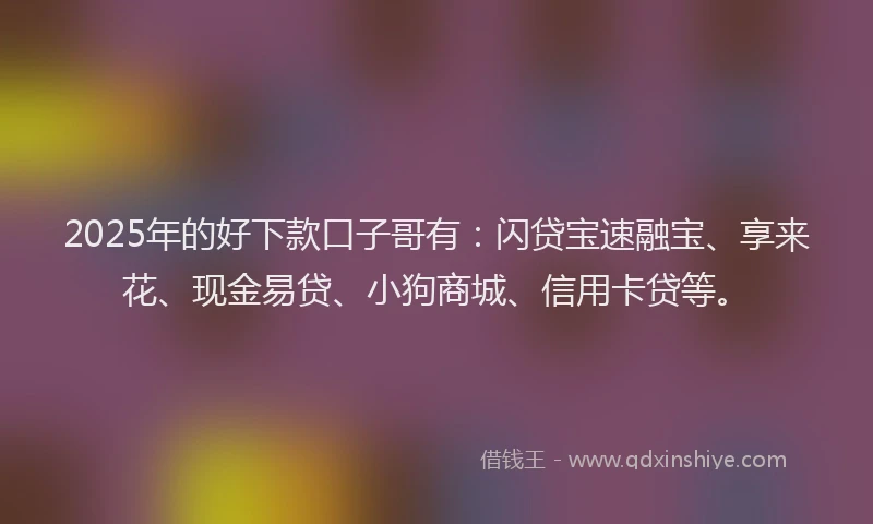 2025年的好下款口子哥有：闪贷宝速融宝、享来花、现金易贷、小狗商城、信用卡贷等。
