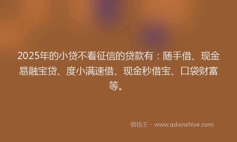 2025年的小贷不看征信的贷款有：随手借、现金易融宝贷、度小满速借、现金秒借宝、口袋财富等。