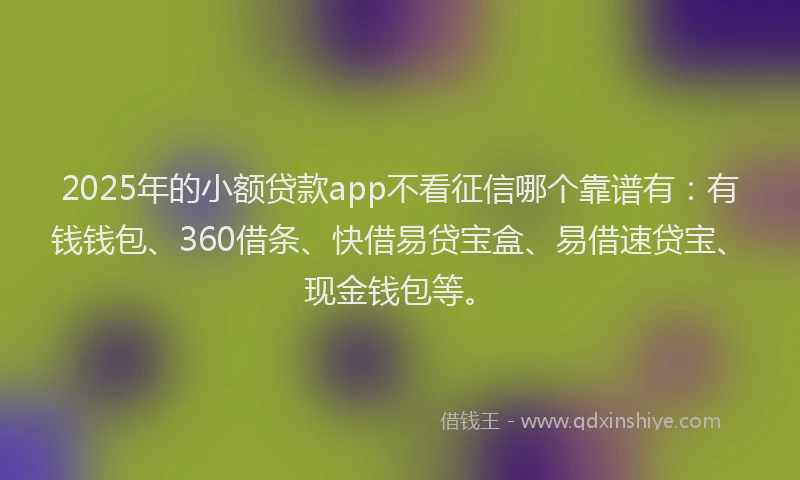 2025年的小额贷款app不看征信哪个靠谱有：有钱钱包、360借条、快借易贷宝盒、易借速贷宝、现金钱包等。