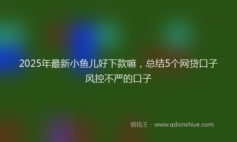 2025年最新小鱼儿好下款嘛，总结5个网贷口子风控不严的口子