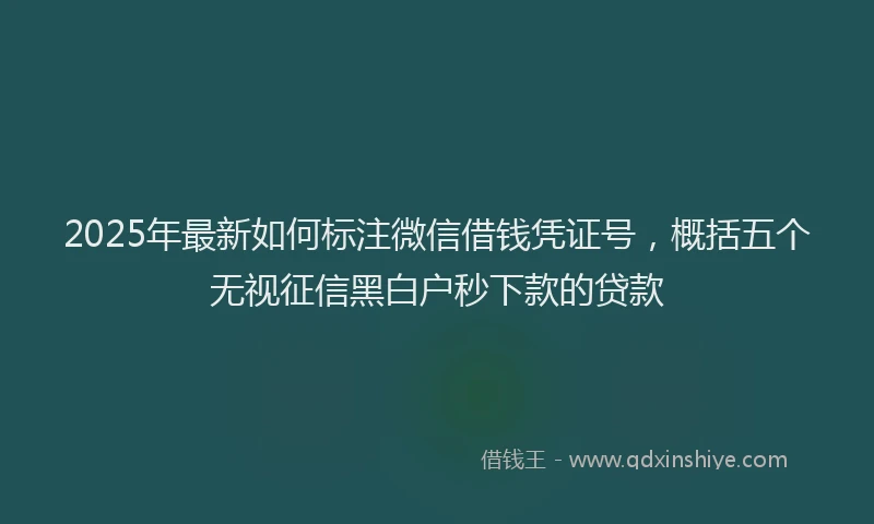 2025年最新如何标注微信借钱凭证号，概括五个无视征信黑白户秒下款的贷款