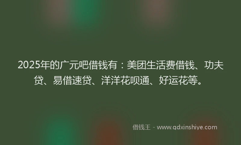 2025年的广元吧借钱有：美团生活费借钱、功夫贷、易借速贷、洋洋花呗通、好运花等。