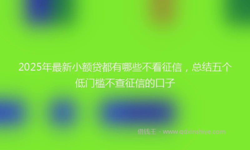 2025年最新小额贷都有哪些不看征信，总结五个低门槛不查征信的口子