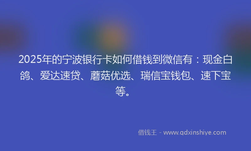 2025年的宁波银行卡如何借钱到微信有：现金白鸽、爱达速贷、蘑菇优选、瑞信宝钱包、速下宝等。