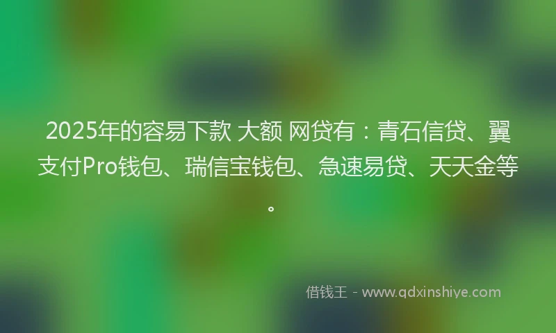 2025年的容易下款 大额 网贷有：青石信贷、翼支付Pro钱包、瑞信宝钱包、急速易贷、天天金等。