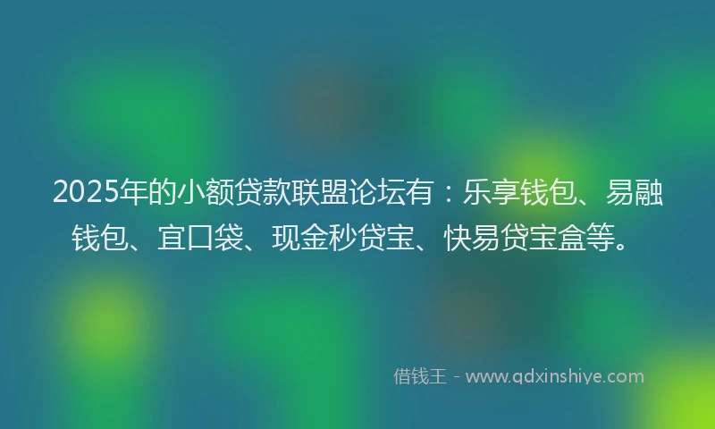 2025年的小额贷款联盟论坛有：乐享钱包、易融钱包、宜口袋、现金秒贷宝、快易贷宝盒等。