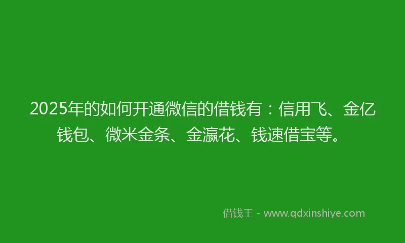 2025年的如何开通微信的借钱有：信用飞、金亿钱包、微米金条、金瀛花、钱速借宝等。
