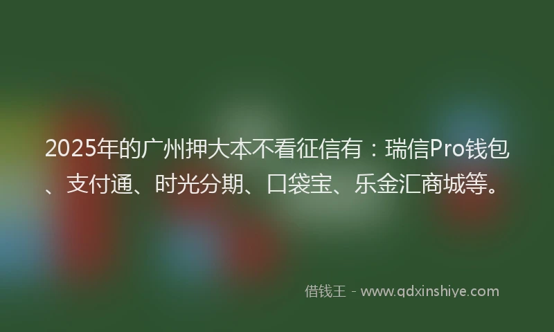 2025年的广州押大本不看征信有：瑞信Pro钱包、支付通、时光分期、口袋宝、乐金汇商城等。