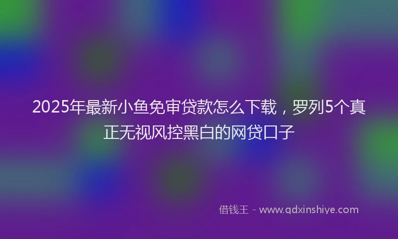 2025年最新小鱼免审贷款怎么下载，罗列5个真正无视风控黑白的网贷口子