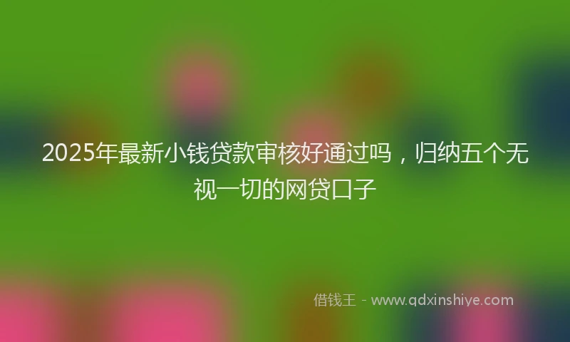 2025年最新小钱贷款审核好通过吗，归纳五个无视一切的网贷口子