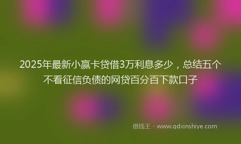 2025年最新小赢卡贷借3万利息多少，总结五个不看征信负债的网贷百分百下款口子