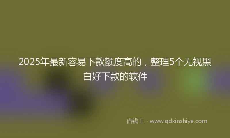 2025年最新容易下款额度高的，整理5个无视黑白好下款的软件