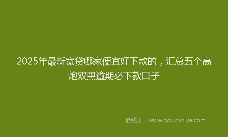 2025年最新宽贷哪家便宜好下款的，汇总五个高炮双黑逾期必下款口子