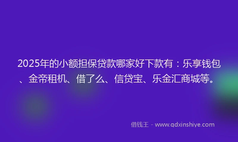 2025年的小额担保贷款哪家好下款有：乐享钱包、金帝租机、借了么、信贷宝、乐金汇商城等。