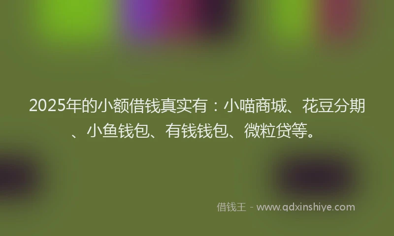 2025年的小额借钱真实有：小喵商城、花豆分期、小鱼钱包、有钱钱包、微粒贷等。
