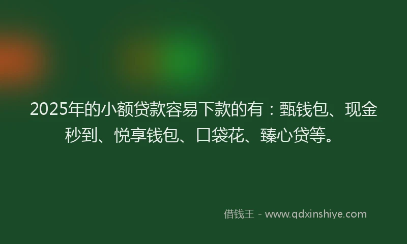 2025年的小额贷款容易下款的有：甄钱包、现金秒到、悦享钱包、口袋花、臻心贷等。