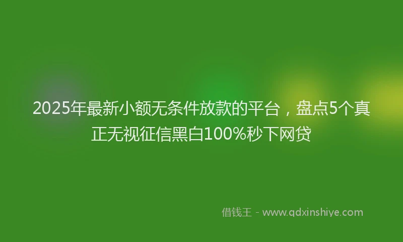 2025年最新小额无条件放款的平台，盘点5个真正无视征信黑白100%秒下网贷