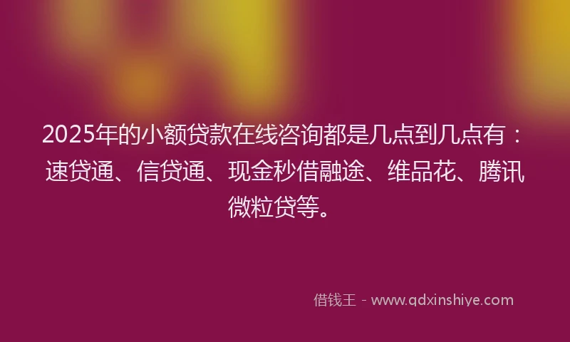 2025年的小额贷款在线咨询都是几点到几点有：速贷通、信贷通、现金秒借融途、维品花、腾讯微粒贷等。