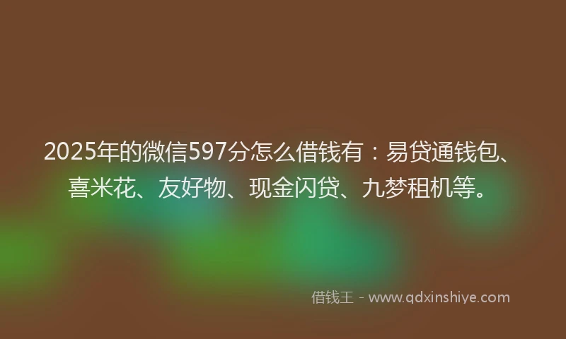 2025年的微信597分怎么借钱有：易贷通钱包、喜米花、友好物、现金闪贷、九梦租机等。