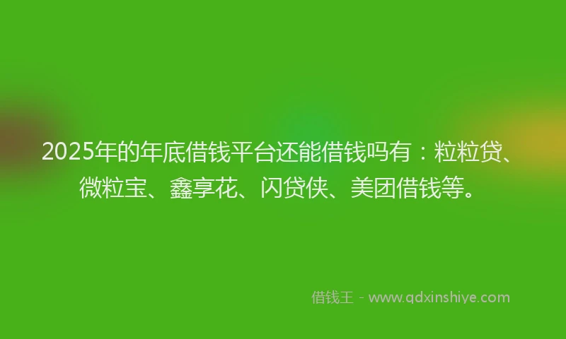 2025年的年底借钱平台还能借钱吗有：粒粒贷、微粒宝、鑫享花、闪贷侠、美团借钱等。