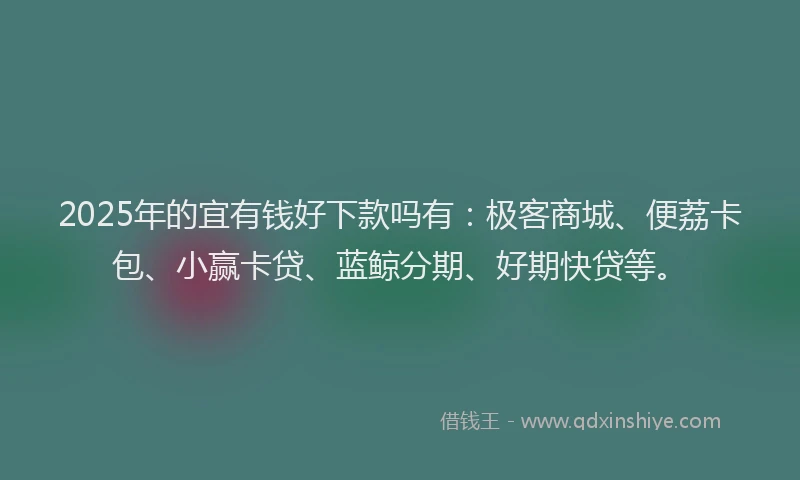 2025年的宜有钱好下款吗有：极客商城、便荔卡包、小赢卡贷、蓝鲸分期、好期快贷等。