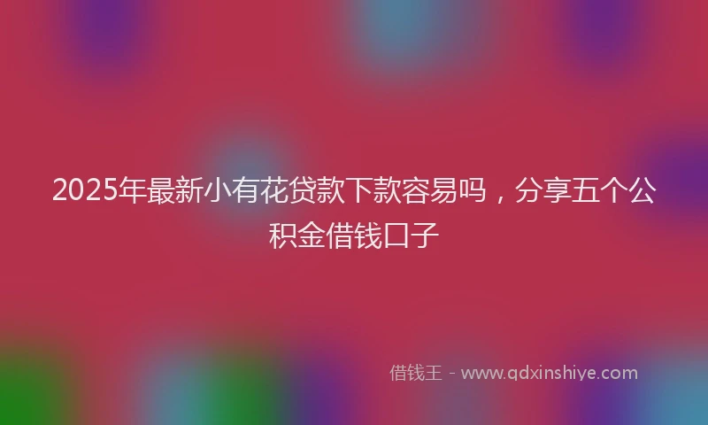 2025年最新小有花贷款下款容易吗，分享五个公积金借钱口子