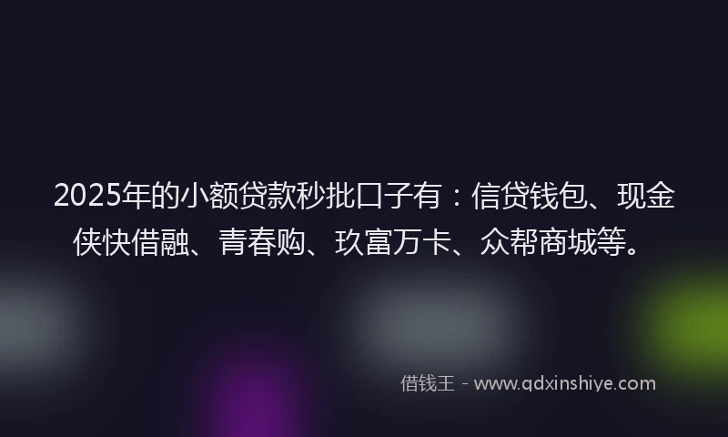 2025年的小额贷款秒批口子有：信贷钱包、现金侠快借融、青春购、玖富万卡、众帮商城等。