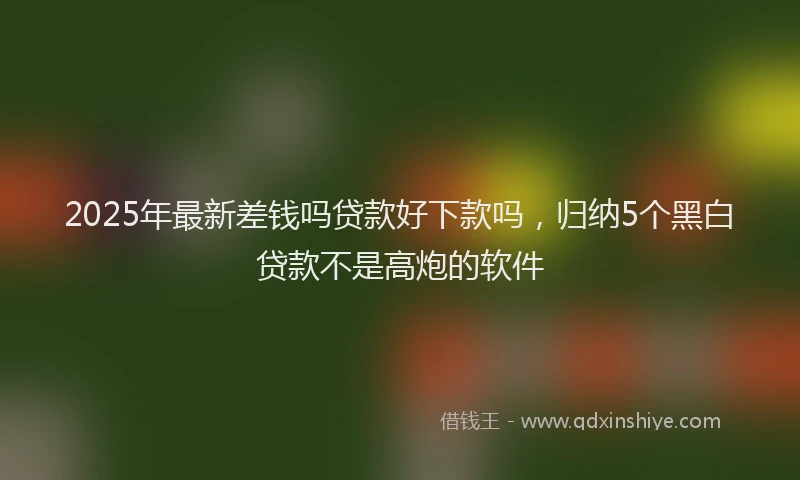 2025年最新差钱吗贷款好下款吗，归纳5个黑白贷款不是高炮的软件