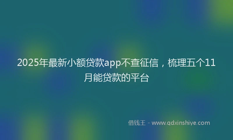 2025年最新小额贷款app不查征信，梳理五个11月能贷款的平台