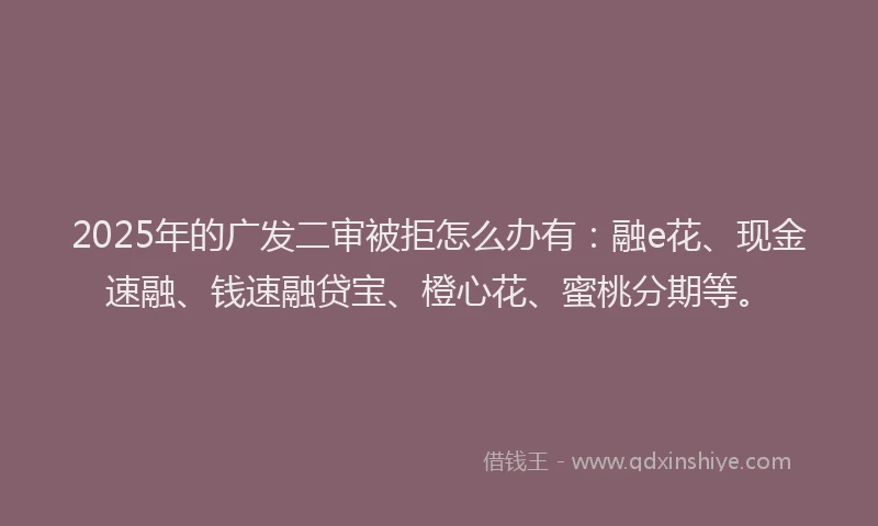2025年的广发二审被拒怎么办有：融e花、现金速融、钱速融贷宝、橙心花、蜜桃分期等。