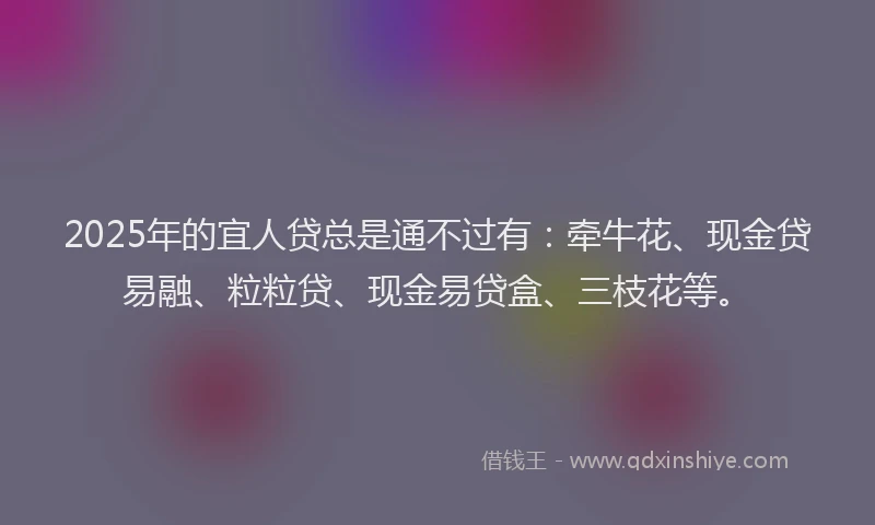 2025年的宜人贷总是通不过有：牵牛花、现金贷易融、粒粒贷、现金易贷盒、三枝花等。