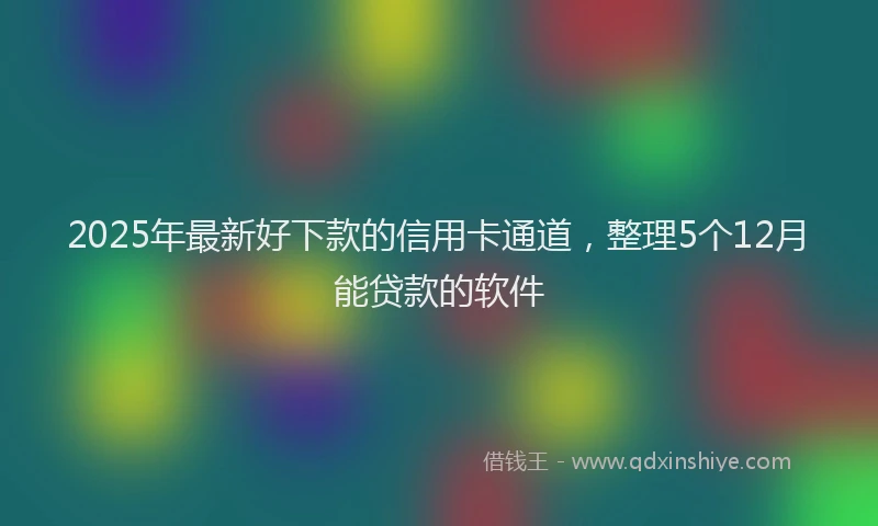 2025年最新好下款的信用卡通道，整理5个12月能贷款的软件