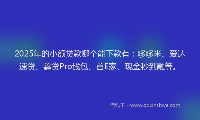 2025年的小额贷款哪个能下款有：哆哆米、爱达速贷、鑫贷Pro钱包、首E家、现金秒到融等。