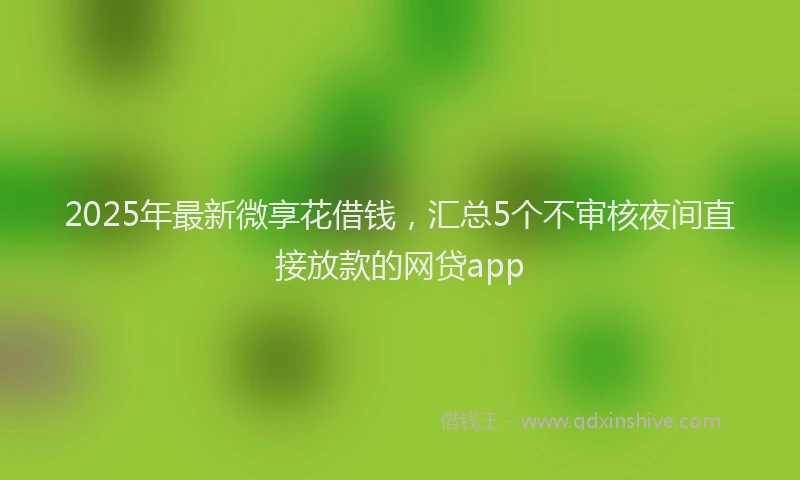 2025年最新微享花借钱，汇总5个不审核夜间直接放款的网贷app