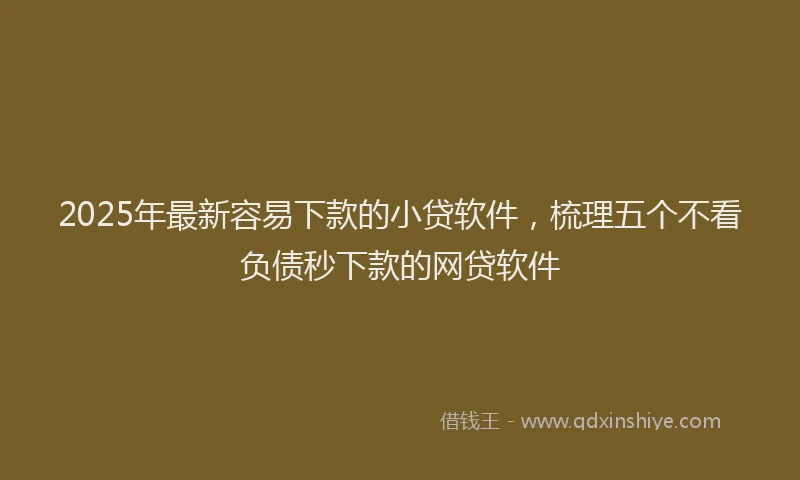 2025年最新容易下款的小贷软件，梳理五个不看负债秒下款的网贷软件