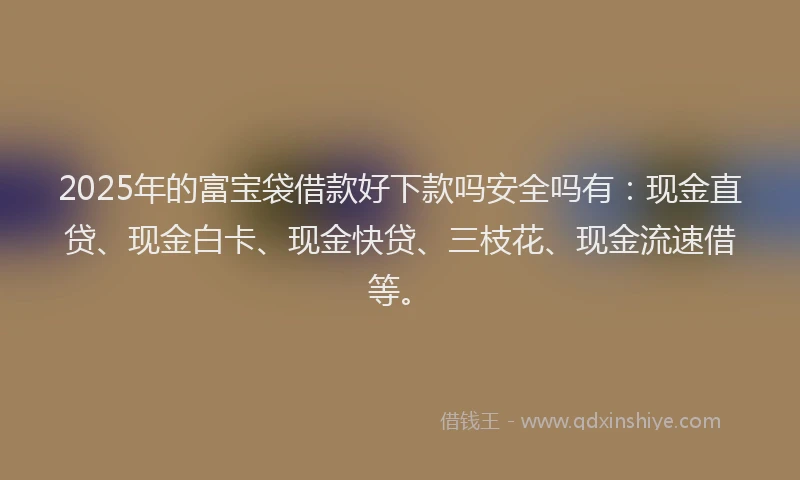 2025年的富宝袋借款好下款吗安全吗有：现金直贷、现金白卡、现金快贷、三枝花、现金流速借等。