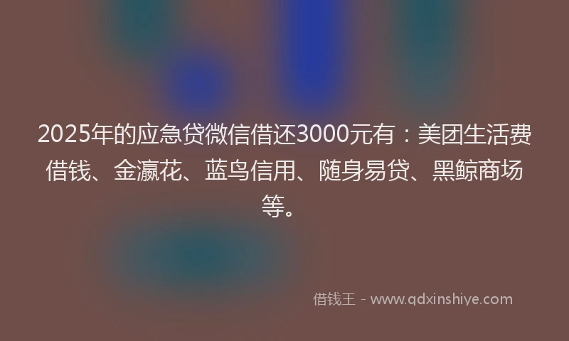 2025年的应急贷微信借还3000元有：美团生活费借钱、金瀛花、蓝鸟信用、随身易贷、黑鲸商场等。