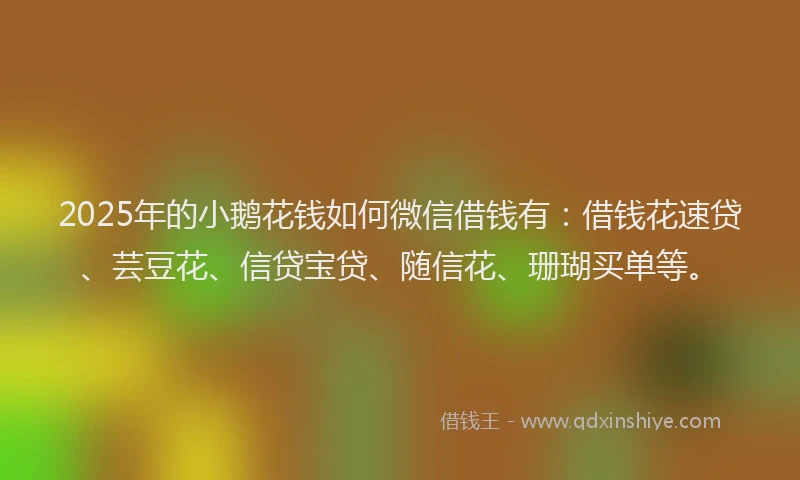 2025年的小鹅花钱如何微信借钱有：借钱花速贷、芸豆花、信贷宝贷、随信花、珊瑚买单等。