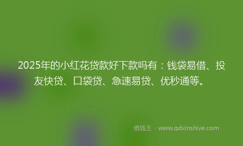 2025年的小红花贷款好下款吗有：钱袋易借、投友快贷、口袋贷、急速易贷、优秒通等。