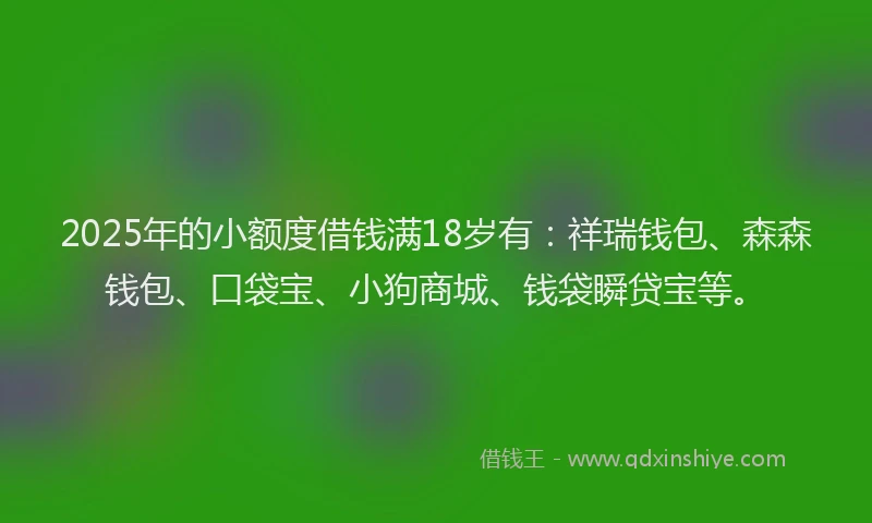 2025年的小额度借钱满18岁有：祥瑞钱包、森森钱包、口袋宝、小狗商城、钱袋瞬贷宝等。