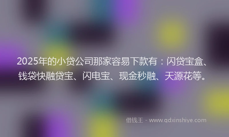 2025年的小贷公司那家容易下款有：闪贷宝盒、钱袋快融贷宝、闪电宝、现金秒融、天源花等。