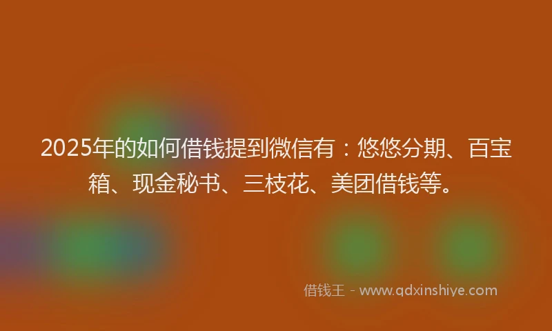 2025年的如何借钱提到微信有：悠悠分期、百宝箱、现金秘书、三枝花、美团借钱等。