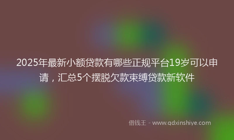 2025年最新小额贷款有哪些正规平台19岁可以申请，汇总5个摆脱欠款束缚贷款新软件