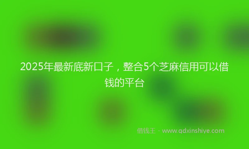 2025年最新底新口子，整合5个芝麻信用可以借钱的平台