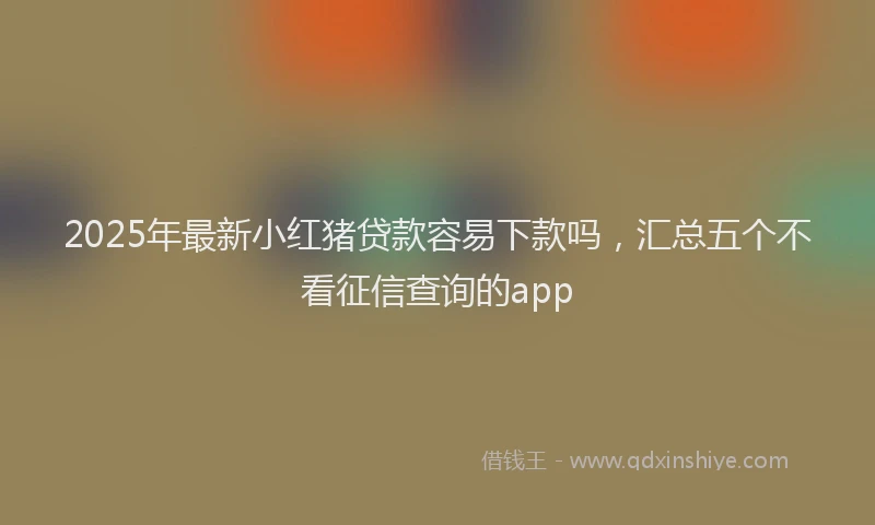 2025年最新小红猪贷款容易下款吗，汇总五个不看征信查询的app