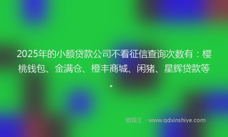2025年的小额贷款公司不看征信查询次数有：樱桃钱包、金满仓、橙丰商城、闲猪、星辉贷款等。