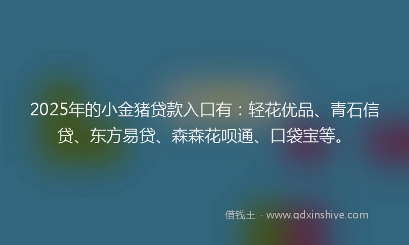 2025年的小金猪贷款入口有：轻花优品、青石信贷、东方易贷、森森花呗通、口袋宝等。