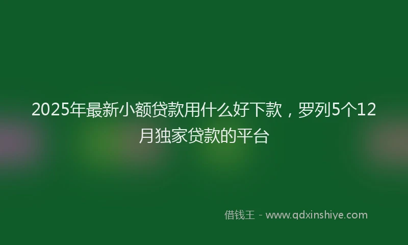 2025年最新小额贷款用什么好下款，罗列5个12月独家贷款的平台