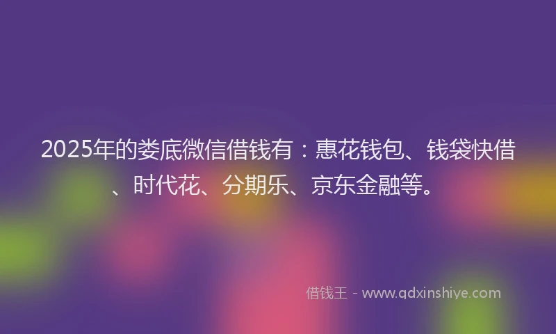 2025年的娄底微信借钱有：惠花钱包、钱袋快借、时代花、分期乐、京东金融等。